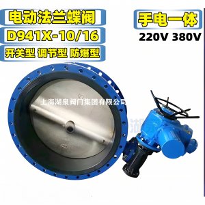 D941X-10Q DN400電動(dòng)法蘭式蝸輪蝶閥