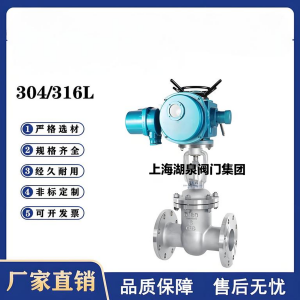 Z941W-16P，DN250，CF8/F304不銹鋼電動閘閥